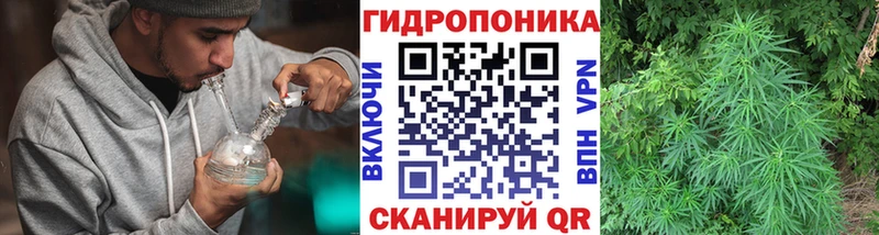 Купить наркотики сайты Цивильск Галлюциногенные грибы  Cocaine  ГАШ  Марихуана  АМФЕТАМИН 