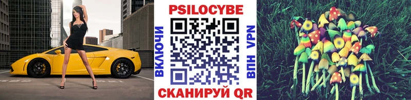 гидра вход  Цивильск  Псилоцибиновые грибы ЛСД 